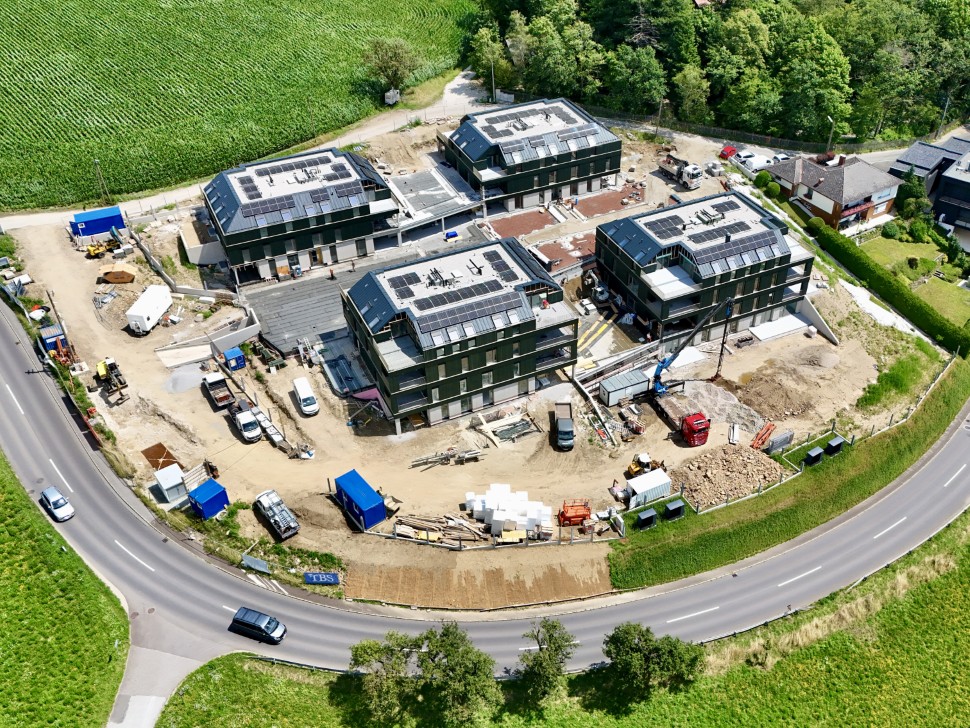 Wohnhäuser Langmantlgut, Pöstlingberg